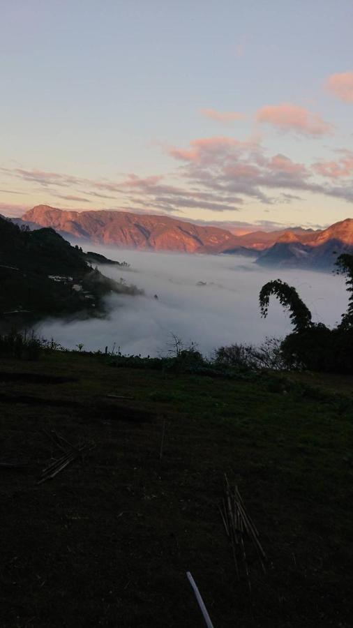 Ming Camphor Homestay Meishan Exteriér fotografie