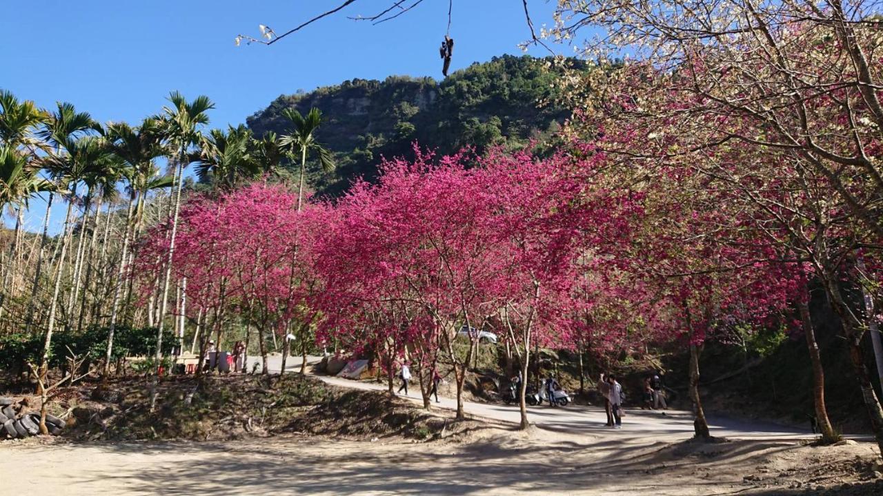 Ming Camphor Homestay Meishan Exteriér fotografie