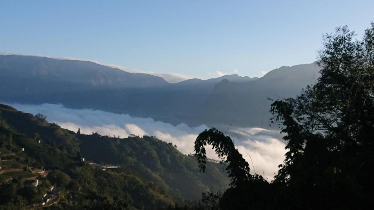 Ming Camphor Homestay Meishan Exteriér fotografie